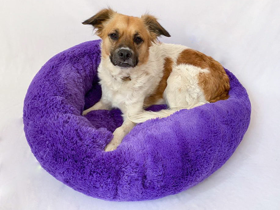 Camas antiestrés para perros