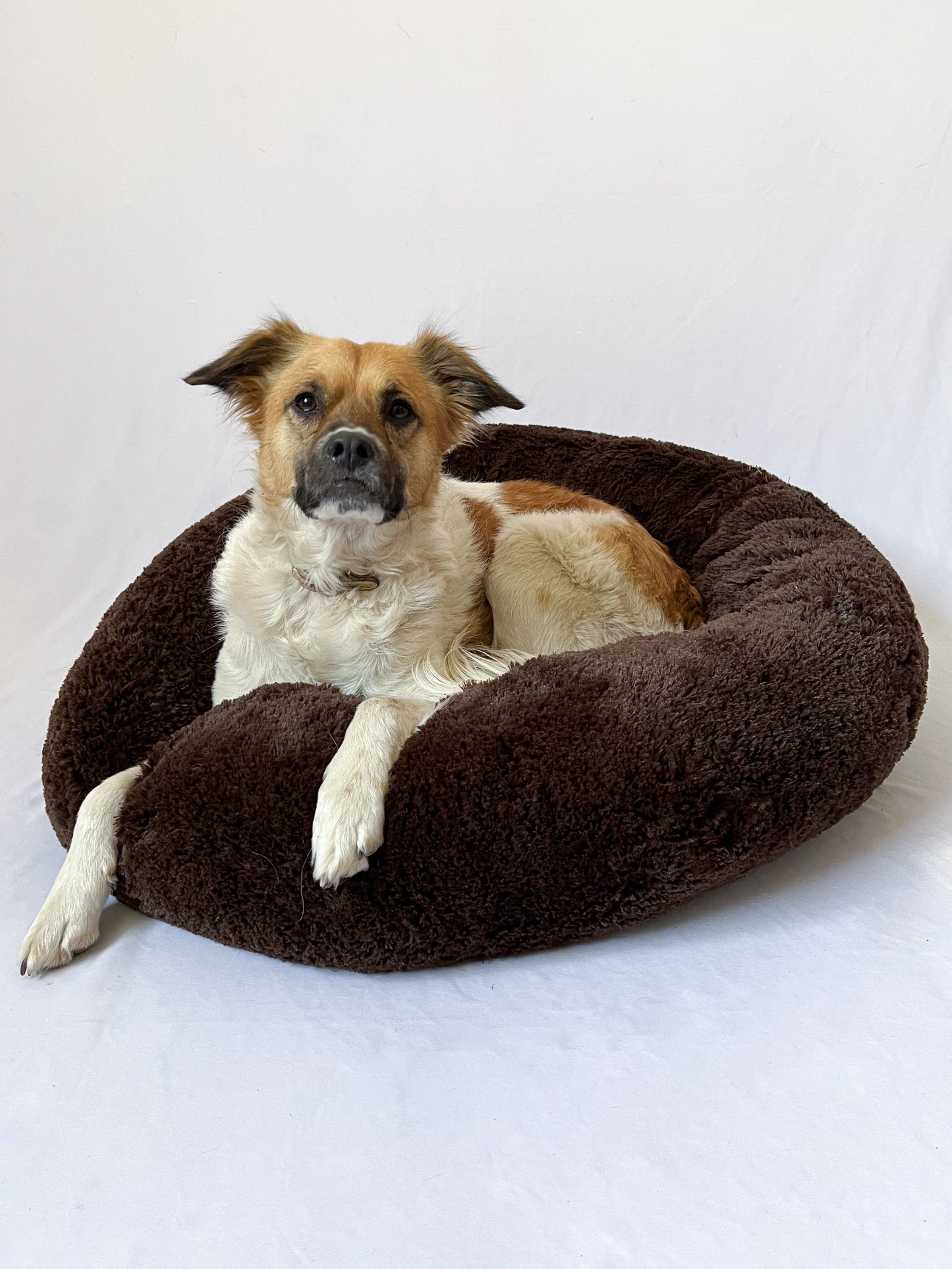 Camas antiestrés para perros