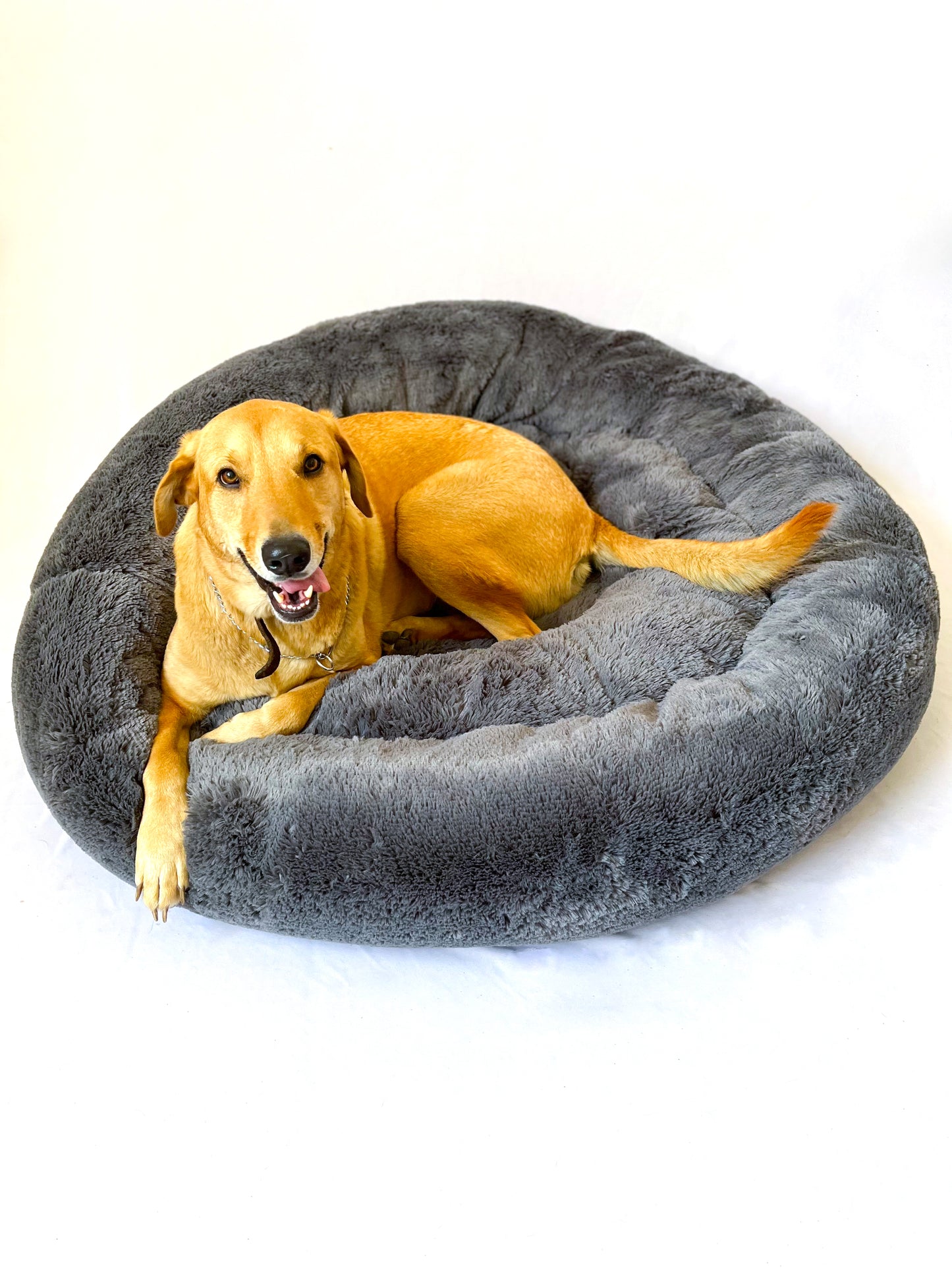 Camas antiestrés para perros