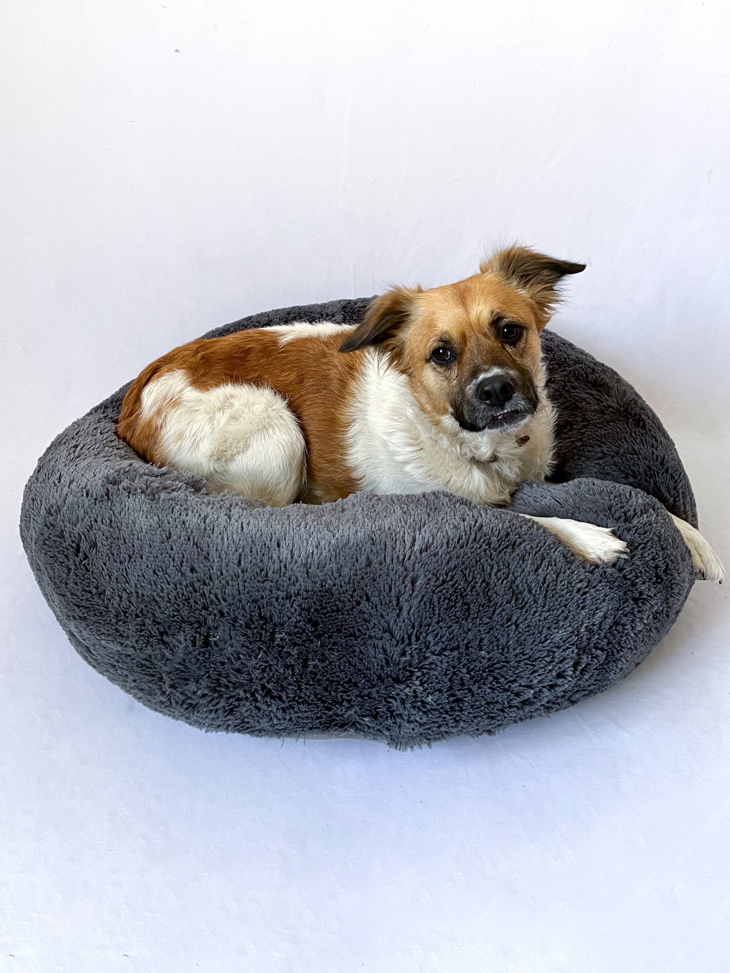 Camas antiestrés para perros