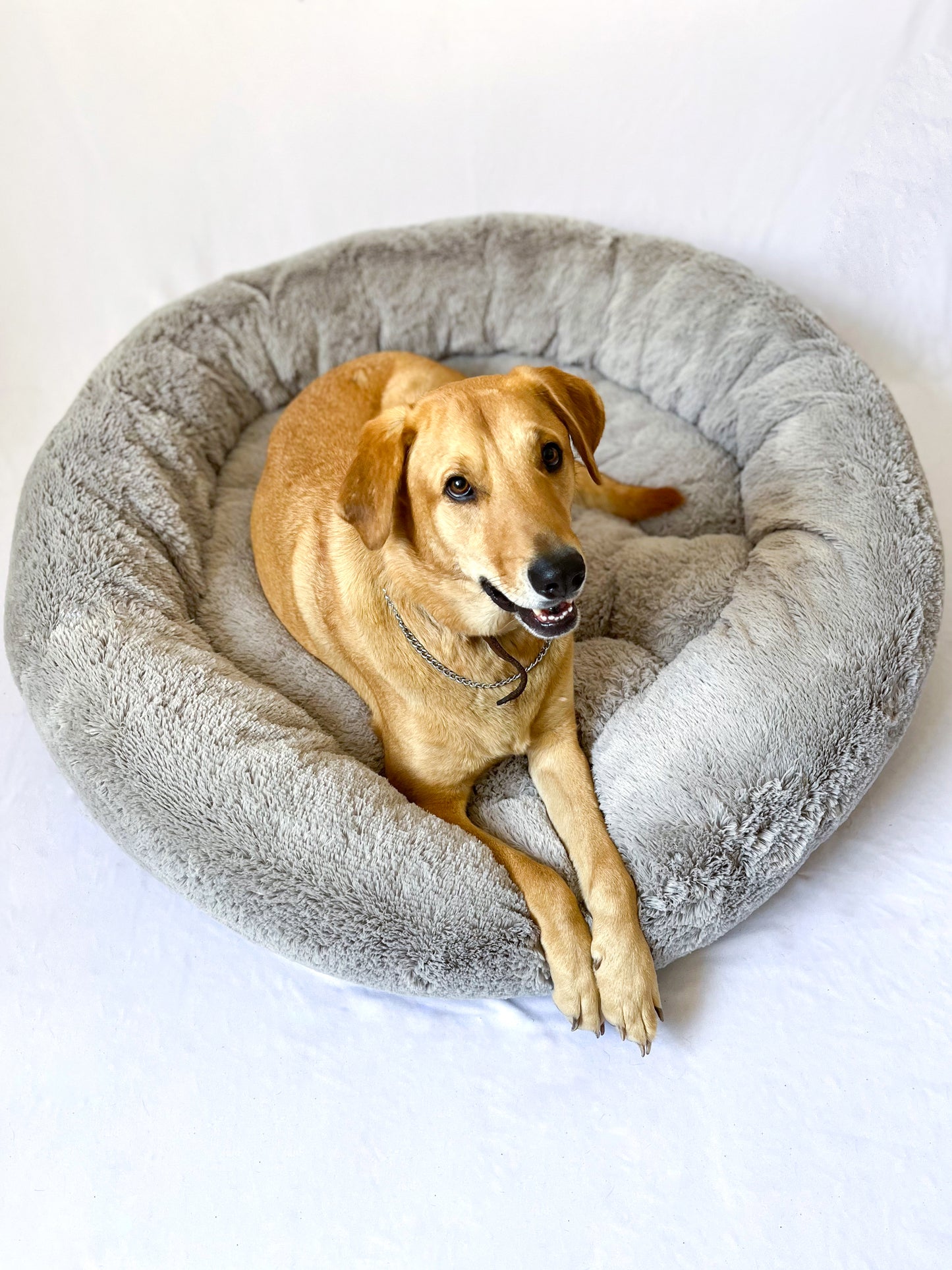 Camas antiestrés para perros